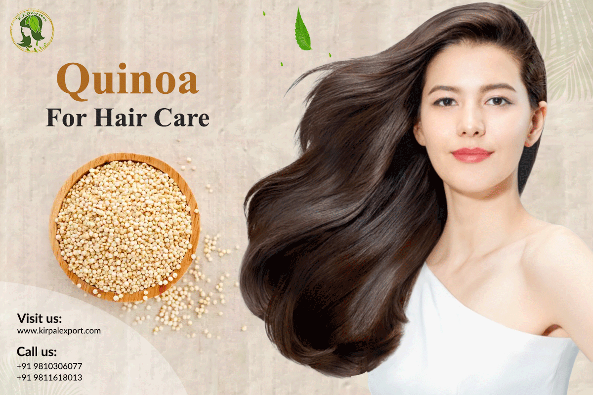 Quinoa for Hair Care